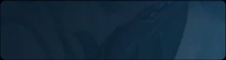 profile banner